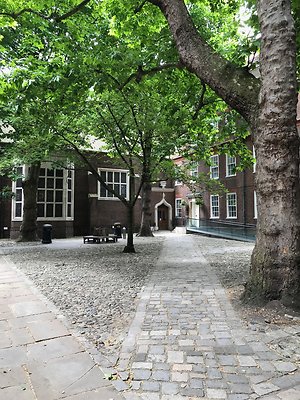 Psychologue française Londres. arbre