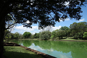 Psychologue française Londres. pond